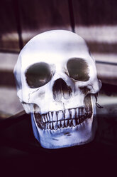 Totenkopf als Halloween-Dekoration - HOH001368