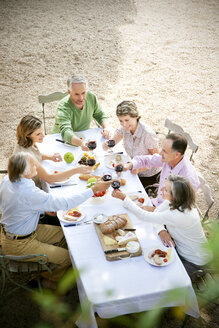 Sechs Freunde sitzen am gedeckten Tisch im Garten und stoßen mit Rotwein an - RMAF000121