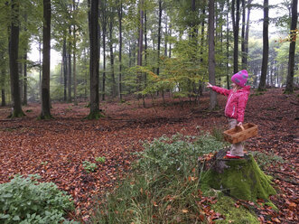 Young girl with mushroom basket in the woods, Waldenburger Berge, Germany - ALF000609