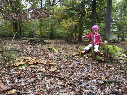 Junges Mädchen mit Pilzkorb im Wald, Waldenburger Berge, Deutschland - ALF000610