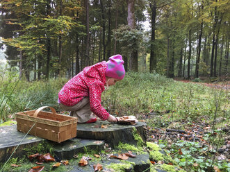 Young girl with mushroom basket in the woods, Waldenburger Berge, Germany - ALF000611