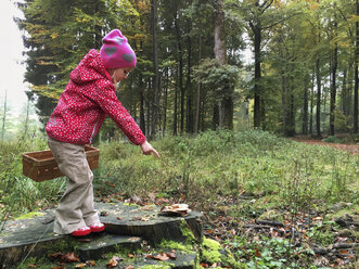 Young girl with mushroom basket in the woods, Waldenburger Berge, Germany - ALF000612