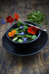 Bowl of lamb's lettuce with blossoms of borage and Indian cress - LVF004056