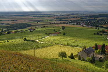 Österreich, Burgenland, Eisenberg an der Pinka, Weinberge - LBF001264