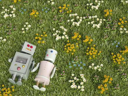 Männlicher und weiblicher Roboter auf einer Blumenwiese, 3D-Rendering - UWF000635