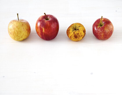 Reihe von drei frischen Äpfeln und einem verschrumpelten Apfel auf weißem Holz - DISF002218