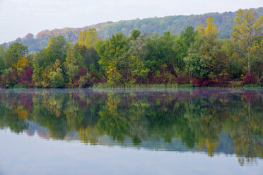 Germany, Pfuhler See, quarry pond in autumn, Panorama - WGF000751