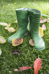 Herbstblätter und Gummistiefel - DEGF000557