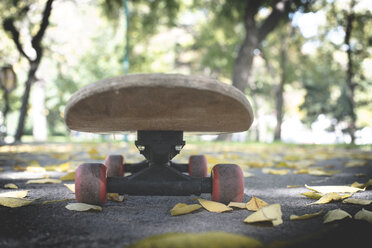 Skateboard im Park im Herbst - DEGF000559