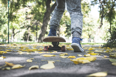 Junge mit Skateboard im Park im Herbst - DEGF000560
