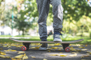 Junge mit Skateboard im Park im Herbst - DEGF000561