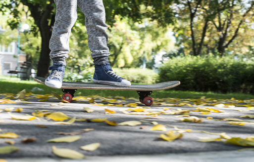 Junge fährt Skateboard im Park im Herbst - DEGF000564