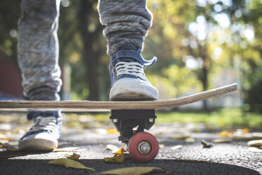 Boy with skateboard in park in autumn - DEGF000566