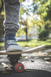 Junge mit Skateboard im Park im Herbst - DEGF000567