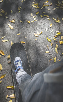 Junge auf Skateboard auf einem Weg mit Herbstlaub stehend - DEGF000568