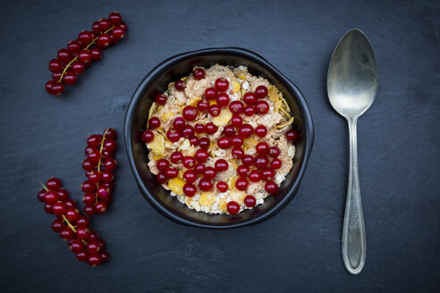 Schale Joghurt mit Cornflakes und roten Johannisbeeren - LVF004083
