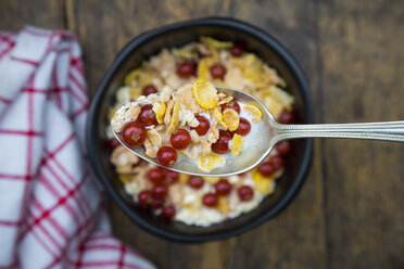 Schale Joghurt mit Cornflakes und roten Johannisbeeren, Löffel - LVF004087