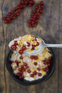 Schale Joghurt mit Cornflakes und roten Johannisbeeren, Löffel - LVF004088