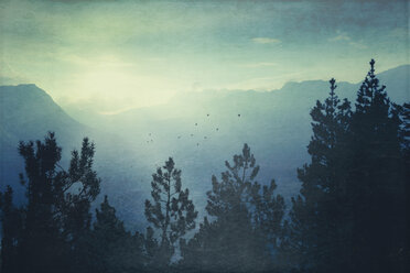 Italy, Chiesa in Valmalenco, mountains and trees in backlight - DWIF000633