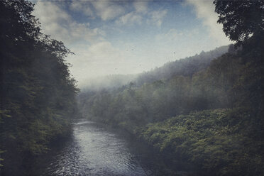 Germany, Wuppertal, morning fog above river Wupper and forest - DWIF000634