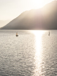 Switzerland, Ticino, Lago Maggiore - LAF001526