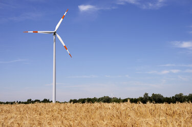 Germany, North Rhine-Westphalia, Wind wheel and wheat field in sommer - GUFF000159