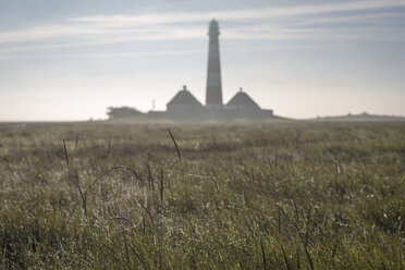 Leuchtturm Westerheversand, Spinnennetz im Vordergrund - KEBF000271