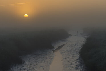 Deutschland, Schleswig-Holstein, Nordfriesland, Westerhever, Salzwiese bei Sonnenuntergang - KEBF000279