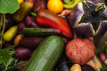 Different organic vegetables - TCF004917
