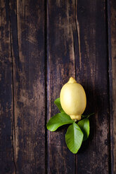 Zitrone mit Blättern auf dunklem Holz - CSF026646