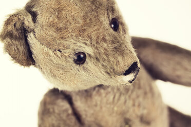 Alter Teddybär, Nahaufnahme - JATF000756