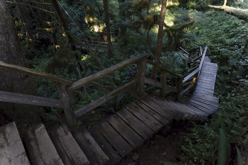 Kanada, Vancouver Island, Holztreppe im Redwood-Wald - TMF000046
