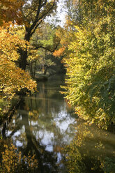 Germany, Brandenburg, Spreewald in autumn - JTF000714