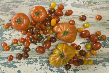 Different tomatoes on wood - ASF005718