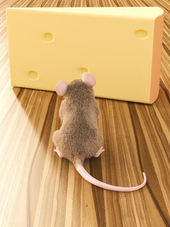 Maus betrachtet ein Stück Käse - AHUF000060