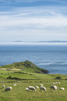 Nordirland, Grafschaft Antrim, Blick von Torr Head auf die schottische Küste - ELF001708