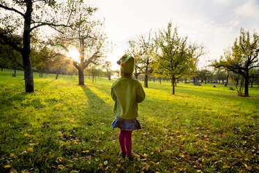 Germany, Baden-Wuerttemberg, back view of little girl standing on a meadow at evening twilight - LVF004115