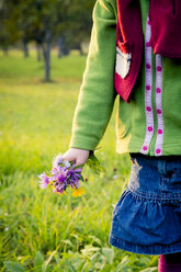 Germany, Baden-Wuerttemberg, little girl with picked flowers on a meadow, close-up - LVF004123