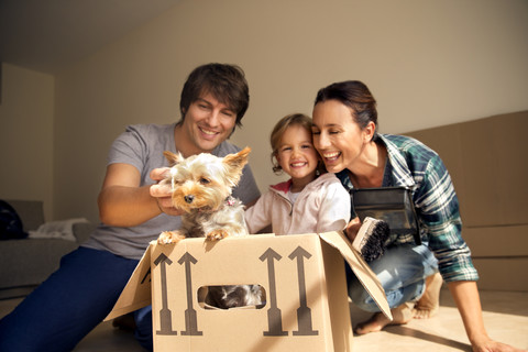 Glückliche Familie mit Hund im Karton, lizenzfreies Stockfoto