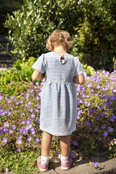 Girl in summer dress standing at flowers - TOYF001523