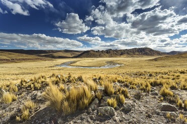 Peru, Arequipa, Altiplano, Pasto Grande - FPF000069