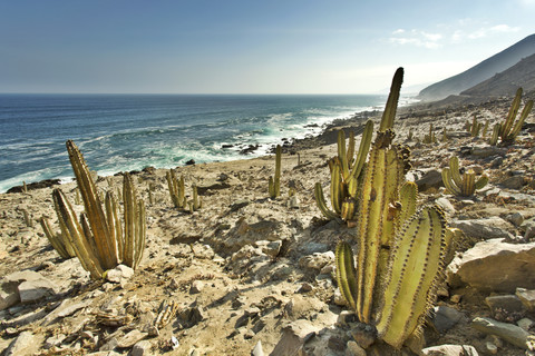 Peru, Arequipa, Ocona, Küstenlandschaft an der Panamericana Sur S1, lizenzfreies Stockfoto