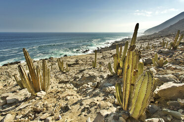 Peru, Arequipa, Ocona, coastal landscape at Panamericana Sur S1 - FPF000075