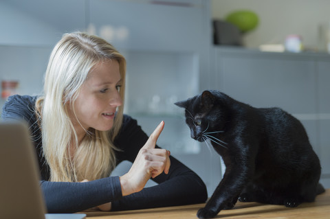 Frau weist ihre Katze auf dem Esstisch sitzend zurecht, lizenzfreies Stockfoto