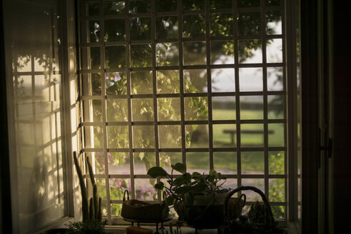 Italien, Toskana, Blick aus dem Fenster auf den Garten des Landhauses - RIBF000382