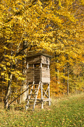 Germany, Baden-Wuerttemberg, Nassach Valley, raised hide in autumn - STSF000965