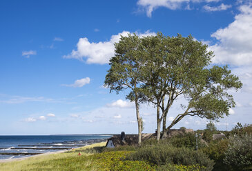 Deutschland, Mecklenburg-Vorpommern, Ahrenshoop, Reetdachhaus an der Ostseeküste - SIEF006854