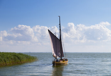 Deutschland, Mecklenburg-Vorpommern, Ahrenshoop, Hafen Althagen, Zeesenboot - SIE006857