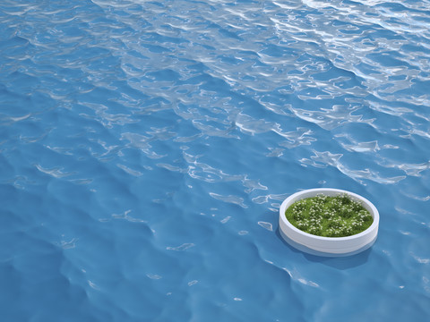 3D Rendering, Insel mit Wiese, schwimmend im Wasser, lizenzfreies Stockfoto