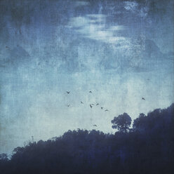 Flying birds, trees in the evening, textured effect - DWIF000642